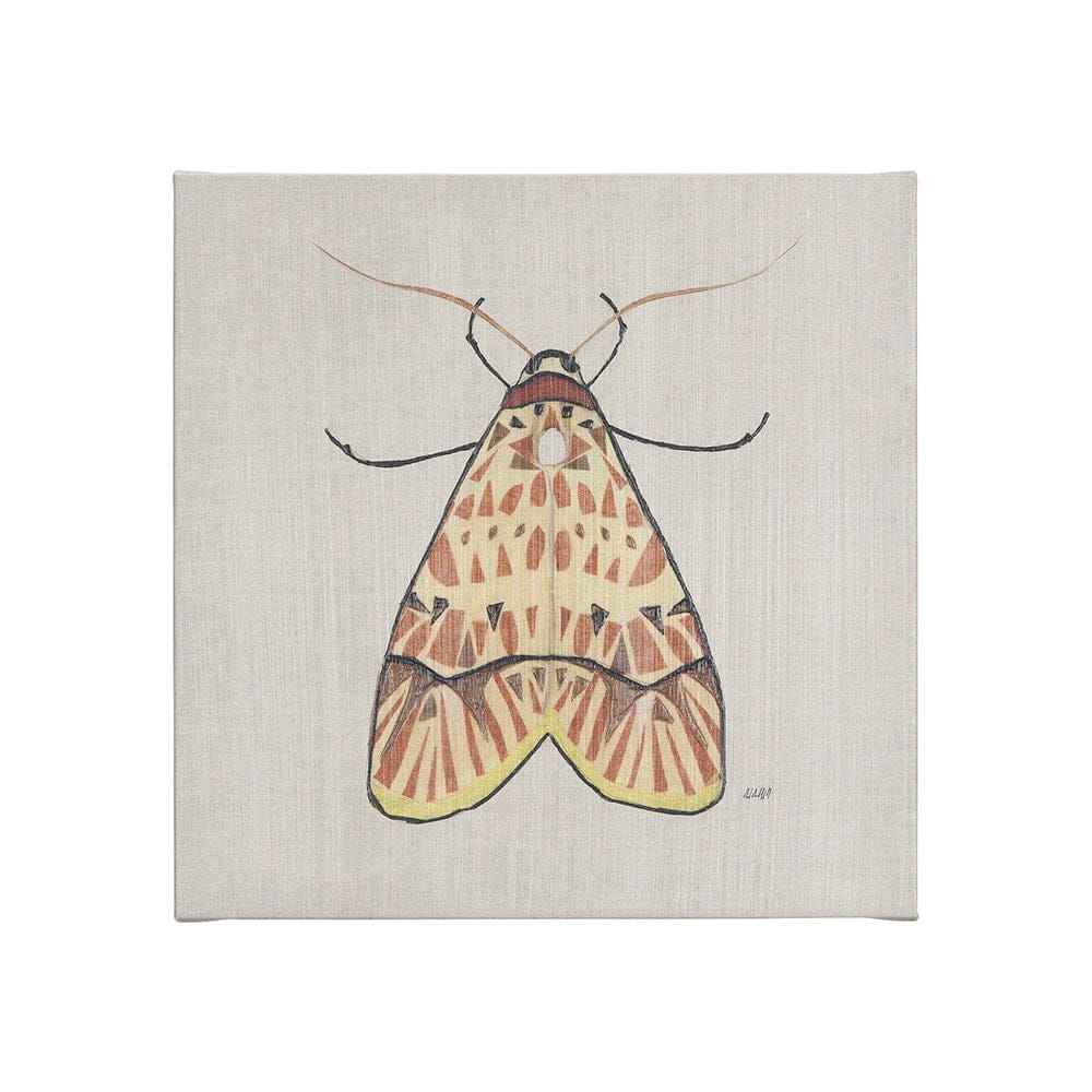 Mercana - Moth I by Mercana Studio a Hand Embellished Textured Canvas - 102217-S view 1