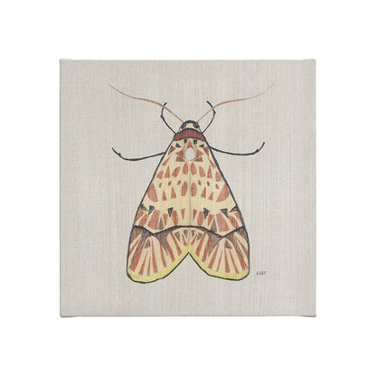 Mercana - Moth I by Mercana Studio a Hand Embellished Textured Canvas - 102217-S view 1