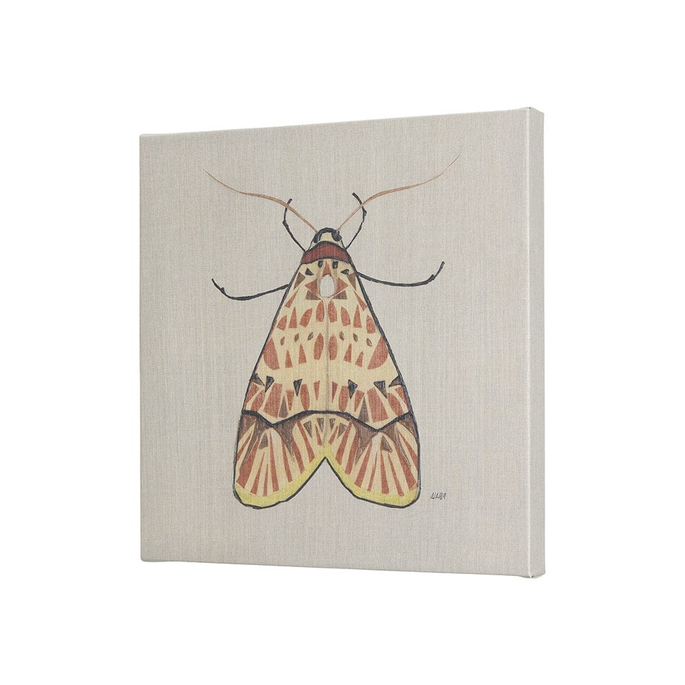 Mercana - Moth I by Mercana Studio a Hand Embellished Textured Canvas - 102217-S view 2