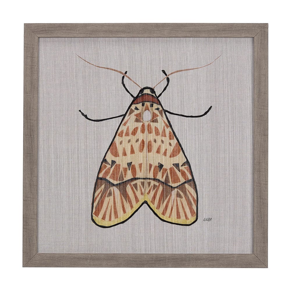 Mercana - Moth I by Mercana Studio a Hand Embellished Textured Framed Art Print - 14311 view 1