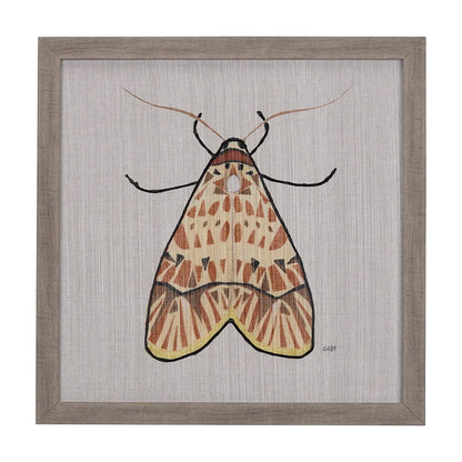 Mercana - Moth I by Mercana Studio a Hand Embellished Textured Framed Art Print - 14311 view 1