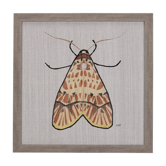 Mercana - Moth I by Mercana Studio a Hand Embellished Textured Framed Art Print - 14311 view 1