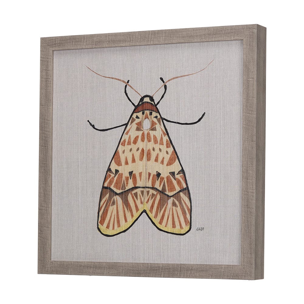 Mercana - Moth I by Mercana Studio a Hand Embellished Textured Framed Art Print - 14311 view 2