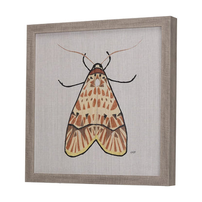 Mercana - Moth I by Mercana Studio a Hand Embellished Textured Framed Art Print - 14311 view 2