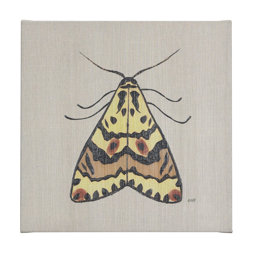Mercana - Moth III by Mercana Studio a Hand Embellished Textured Canvas - 102219-L view 1