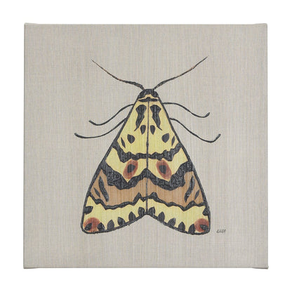Mercana - Moth III by Mercana Studio a Hand Embellished Textured Canvas - 102219-L view 1