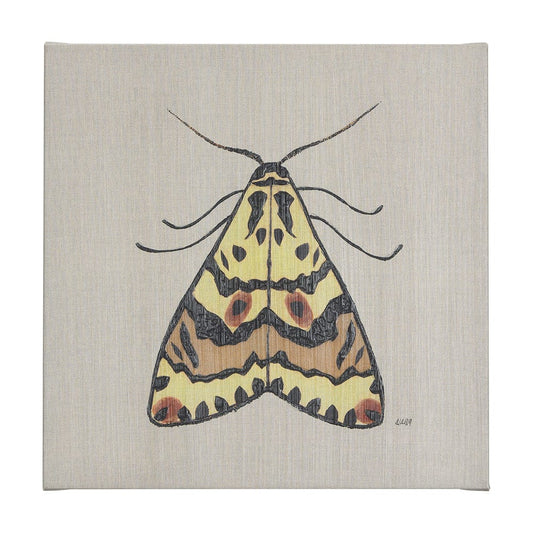 Mercana - Moth III by Mercana Studio a Hand Embellished Textured Canvas - 102219-L view 1