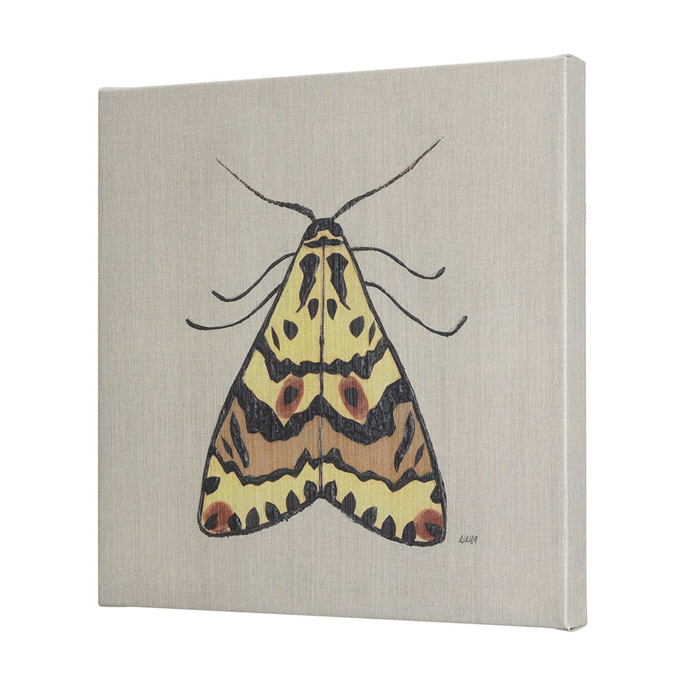 Mercana - Moth III by Mercana Studio a Hand Embellished Textured Canvas - 102219-L view 3