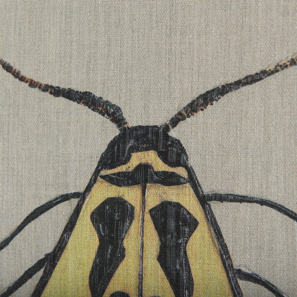 Mercana - Moth III by Mercana Studio a Hand Embellished Textured Canvas - 102219-L view 7