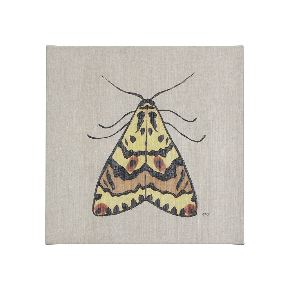 Mercana - Moth III by Mercana Studio a Hand Embellished Textured Canvas - 102219-S view 1