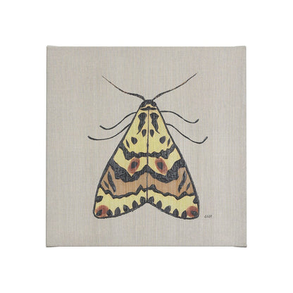 Mercana - Moth III by Mercana Studio a Hand Embellished Textured Canvas - 102219-S view 1