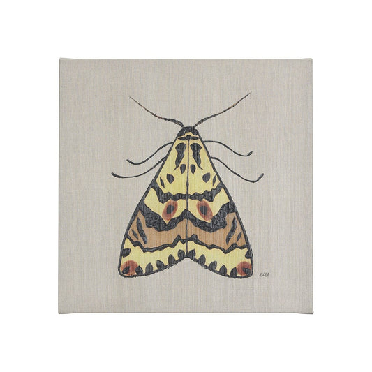 Mercana - Moth III by Mercana Studio a Hand Embellished Textured Canvas - 102219-S view 1