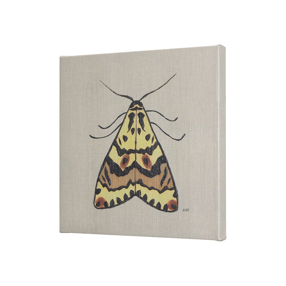 Mercana - Moth III by Mercana Studio a Hand Embellished Textured Canvas - 102219-S view 2