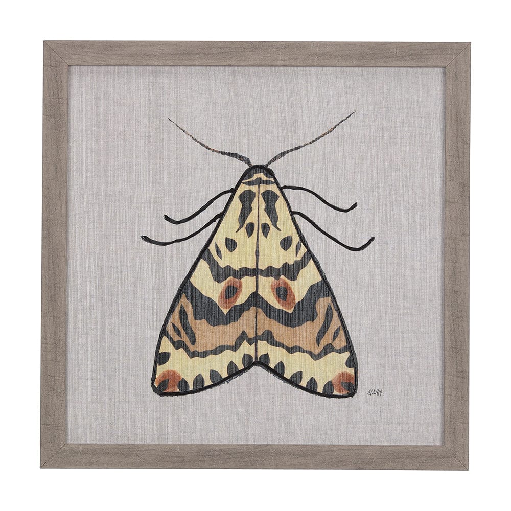 Mercana - Moth III by Mercana Studio a Hand Embellished Textured Framed Art Print - 14313 view 1