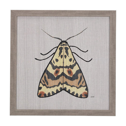 Mercana - Moth III by Mercana Studio a Hand Embellished Textured Framed Art Print - 14313 view 1