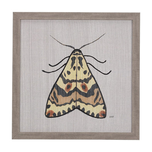 Mercana - Moth III by Mercana Studio a Hand Embellished Textured Framed Art Print - 14313 view 1