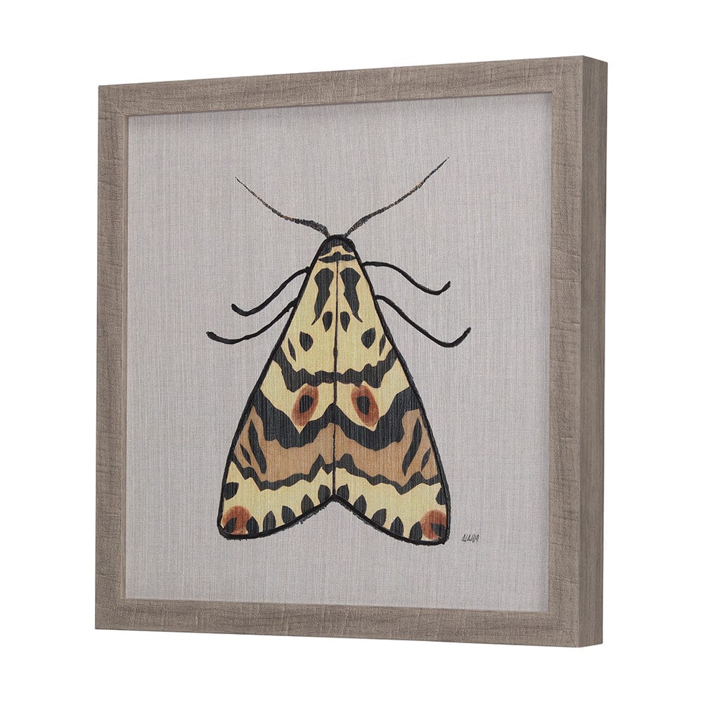 Mercana - Moth III by Mercana Studio a Hand Embellished Textured Framed Art Print - 14313 view 2