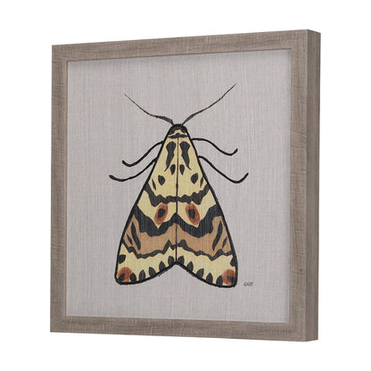 Mercana - Moth III by Mercana Studio a Hand Embellished Textured Framed Art Print - 14313 view 2