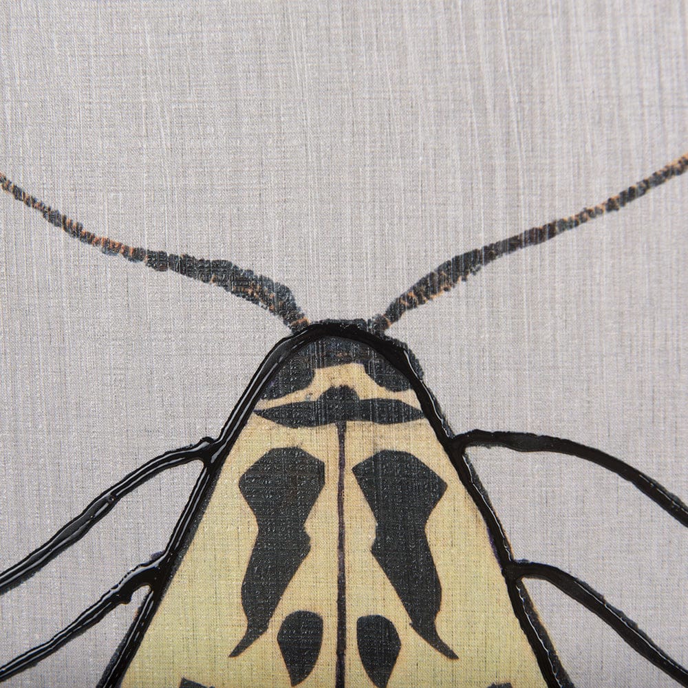 Mercana - Moth III by Mercana Studio a Hand Embellished Textured Framed Art Print - 14313 view 6