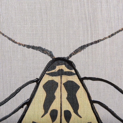 Mercana - Moth III by Mercana Studio a Hand Embellished Textured Framed Art Print - 14313 view 6