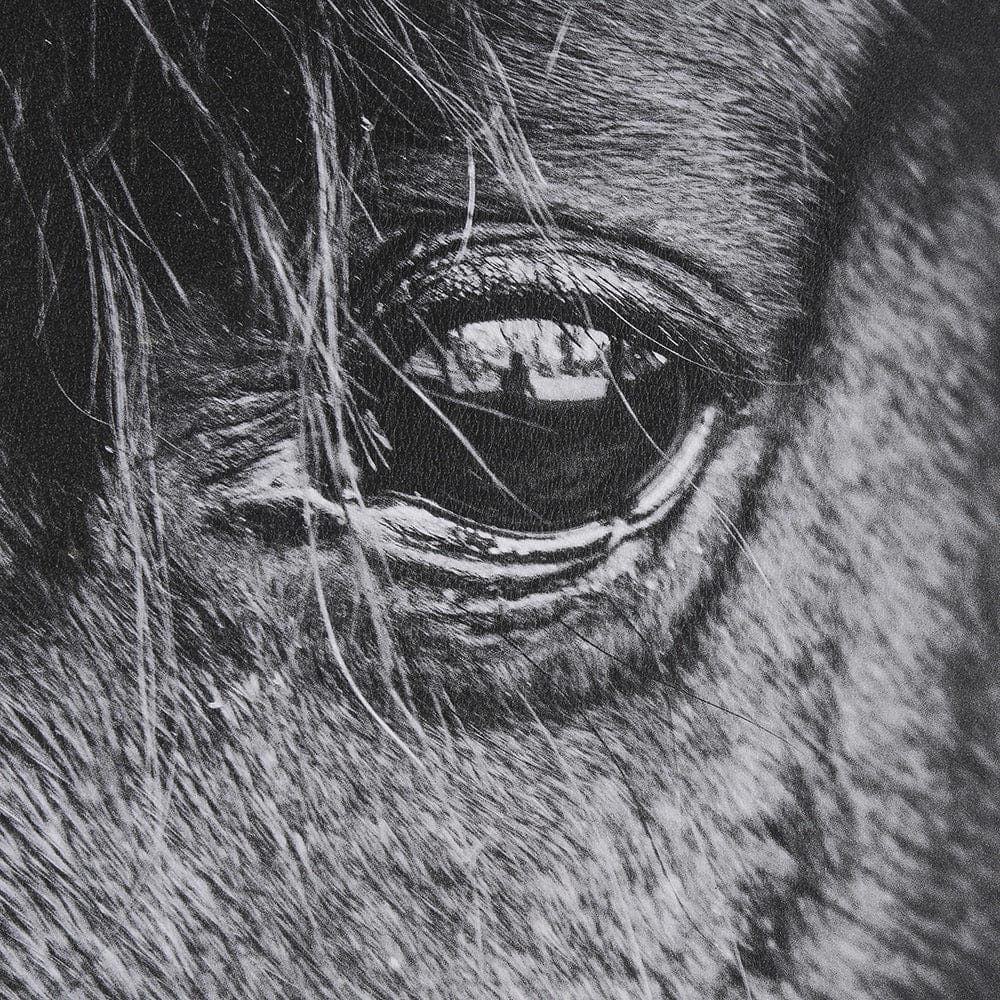 Mercana - Mustang by Nathan Larson a Hand Embellished Framed Art Print Matted under Glass - 15493 view 6