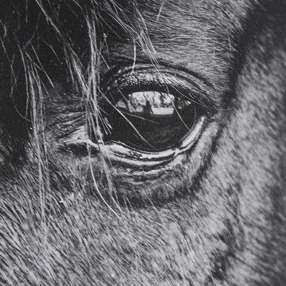 Mercana - Mustang by Nathan Larson a Hand Embellished Framed Art Print Matted under Glass - 15493 view 6