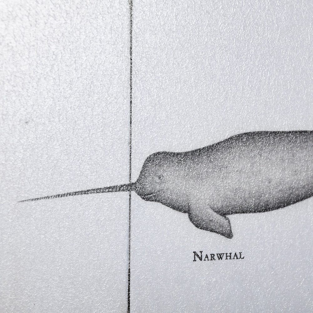 Mercana - Narwhal by Mercana Studio a Hand Embellished Textured Framed Art Print - 13561 view 5