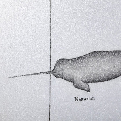 Mercana - Narwhal by Mercana Studio a Hand Embellished Textured Framed Art Print - 13561 view 5