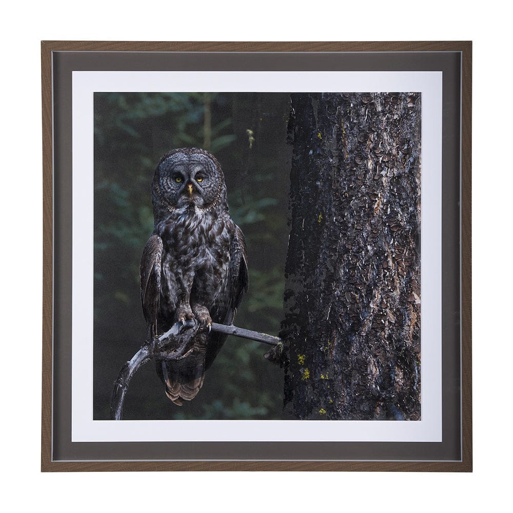 Mercana - Night Owl by Chad Mackay a Hand Embellished Textured Framed Art Print Matted under Glass - 14366 view 1