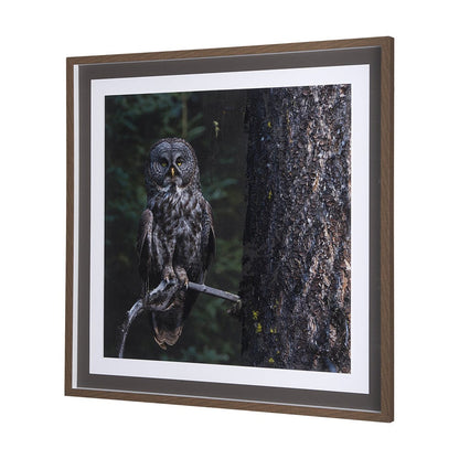 Mercana - Night Owl by Chad Mackay a Hand Embellished Textured Framed Art Print Matted under Glass - 14366 view 2