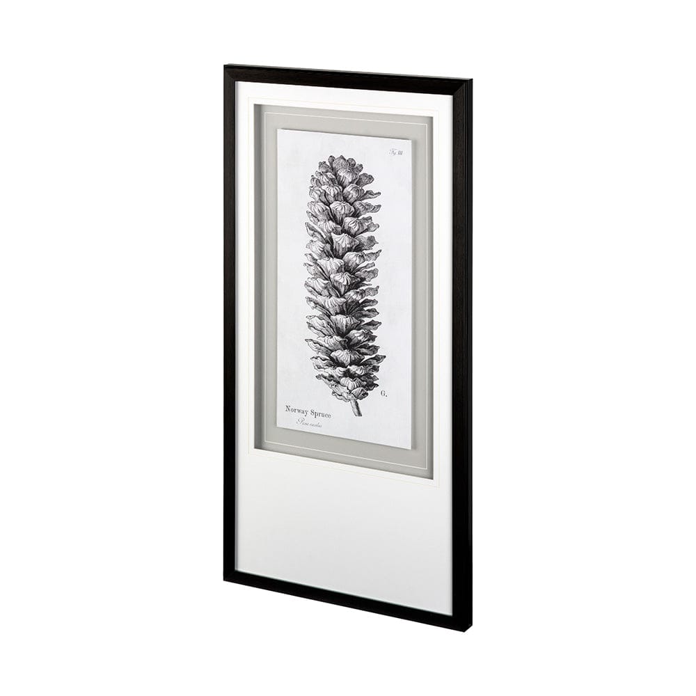 Mercana - Norway Spruce by Maria Mendez a Framed Art Print Matted under Glass - 12061 view 1