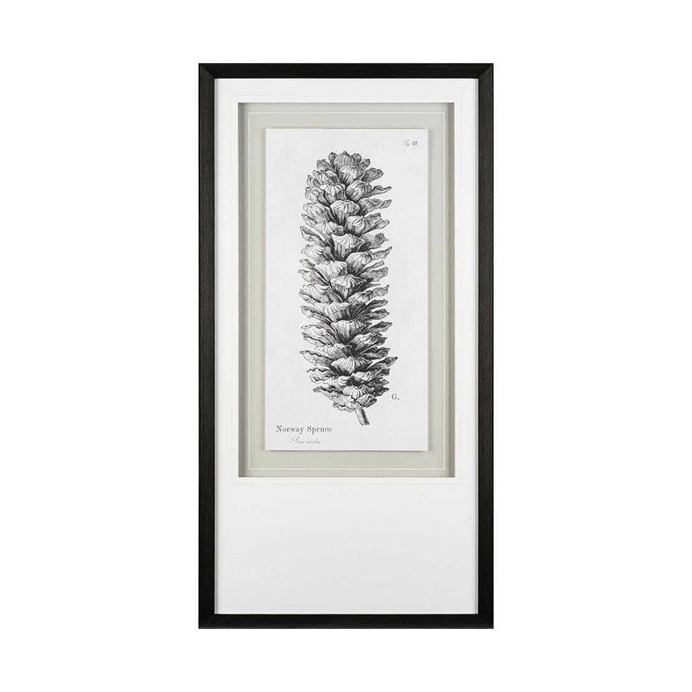 Mercana - Norway Spruce by Maria Mendez a Framed Art Print Matted under Glass - 12061 view 2