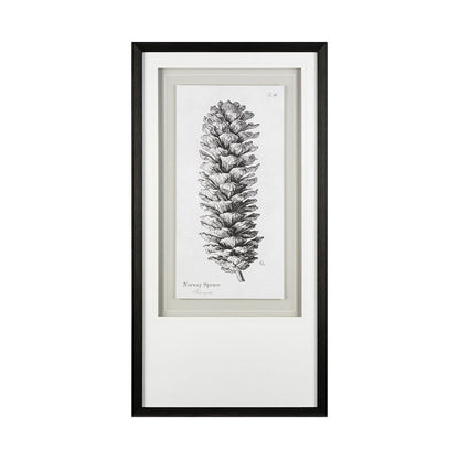 Mercana - Norway Spruce by Maria Mendez a Framed Art Print Matted under Glass - 12061 view 2
