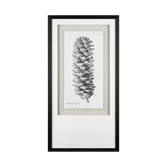 Mercana - Norway Spruce by Maria Mendez a Framed Art Print Matted under Glass - 12061 view 2