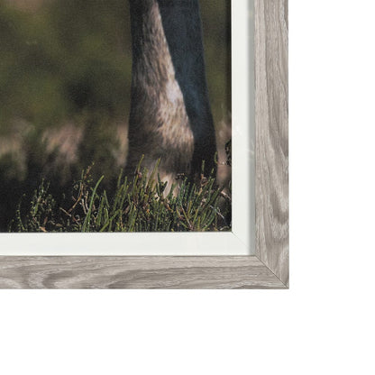 Mercana - Nuzzled Together by Mercana Studio a Hand Embellished Textured Framed Art Photo Matted under Glass - 14946 view 3