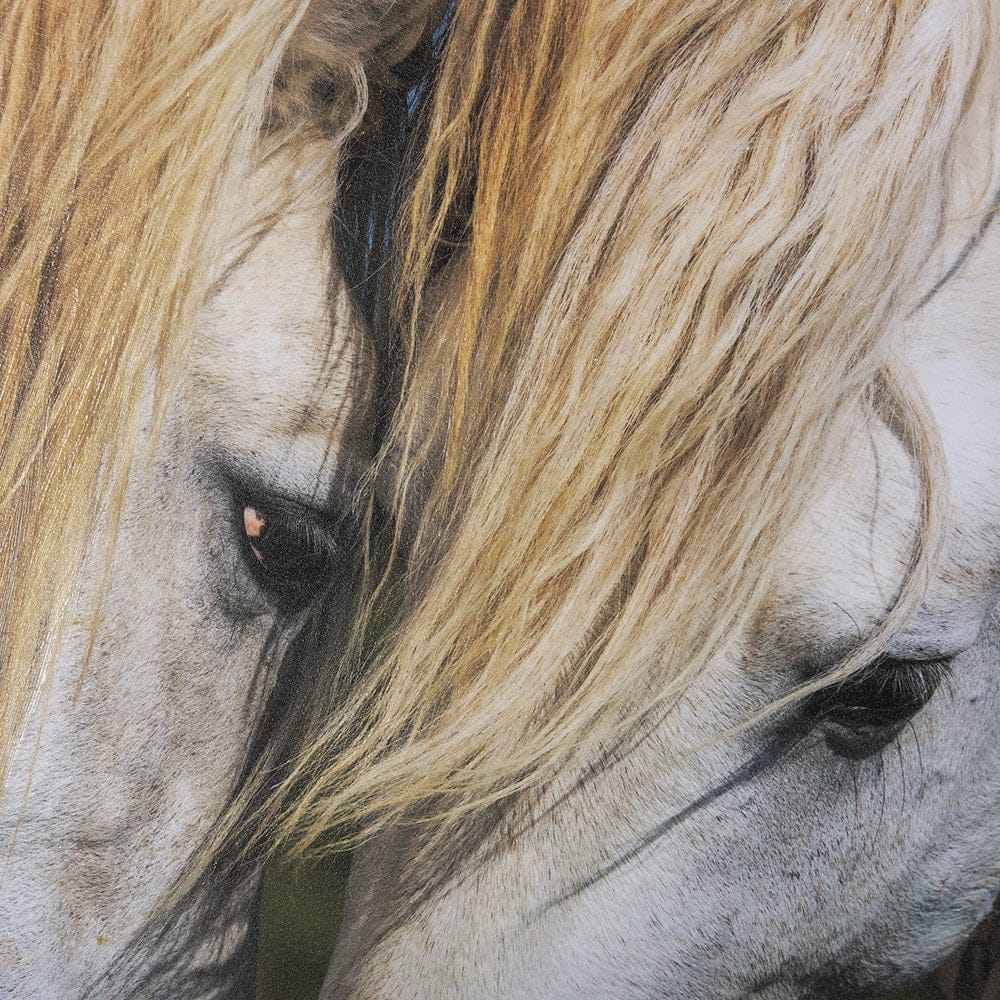 Mercana - Nuzzled Together by Mercana Studio a Hand Embellished Textured Framed Art Photo Matted under Glass - 14946 view 6