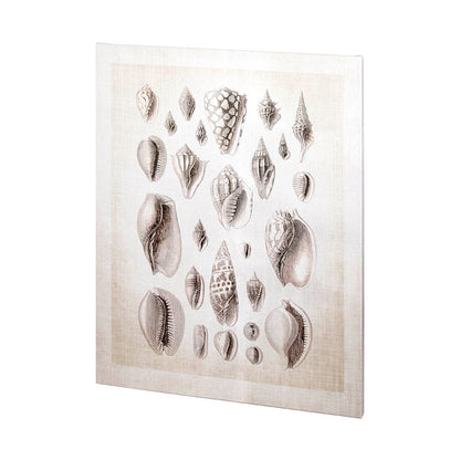 Mercana - Ocean Shell Collection I by Christopher James a Hand Embellished Textured Canvas - 100925-L view 1