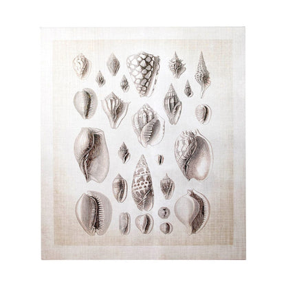 Mercana - Ocean Shell Collection I by Christopher James a Hand Embellished Textured Canvas - 100925-L view 2