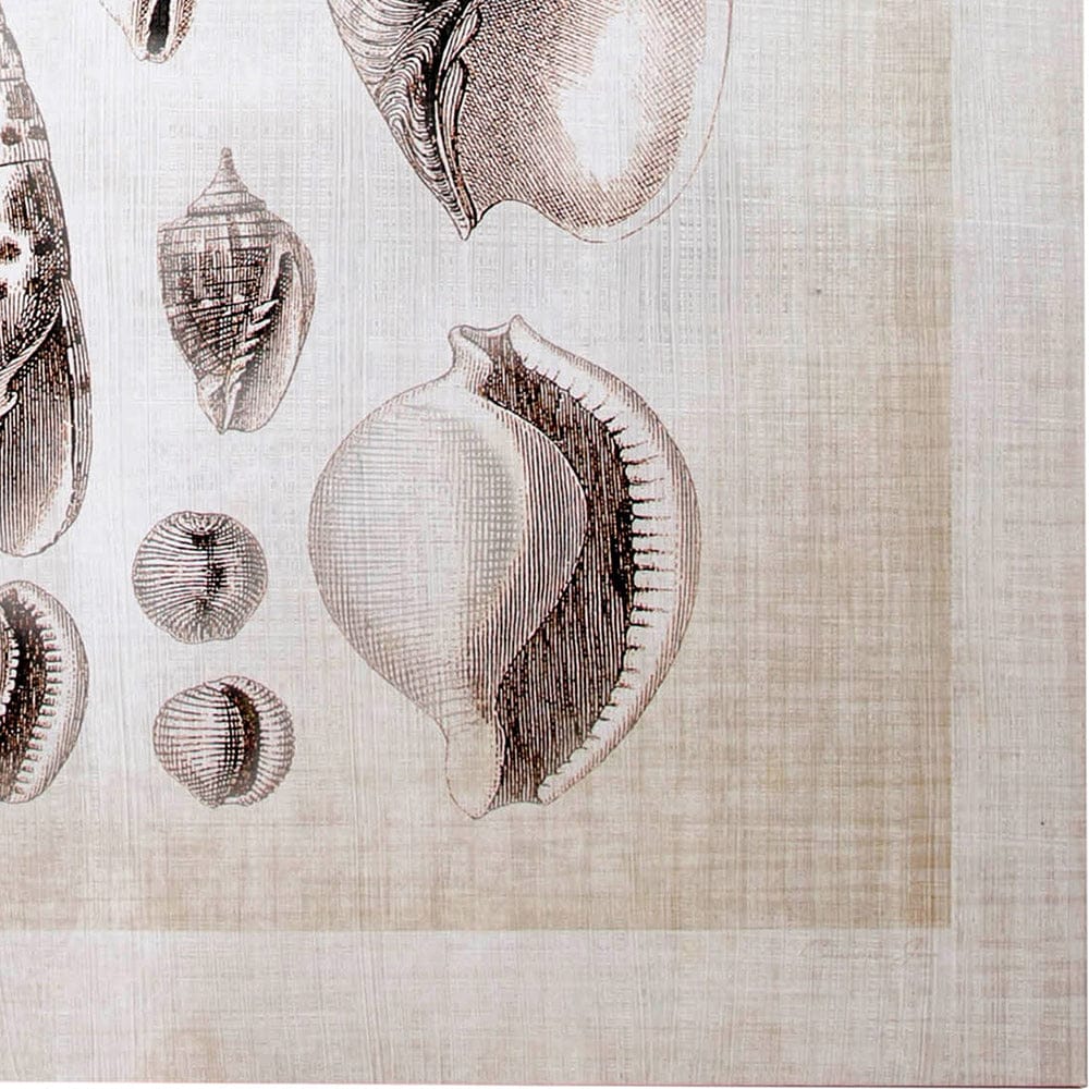 Mercana - Ocean Shell Collection I by Christopher James a Hand Embellished Textured Canvas - 100925-L view 3