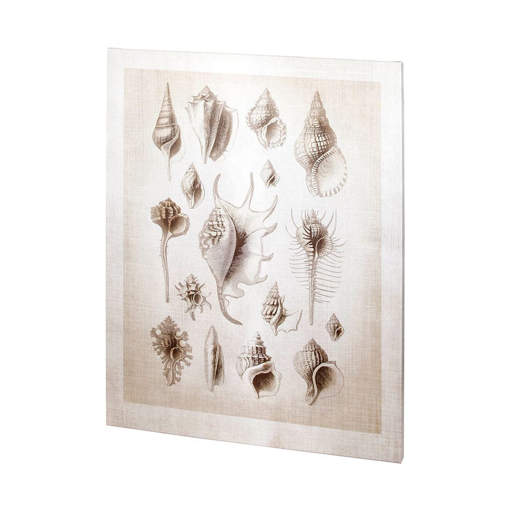 Mercana - Ocean Shell Collection II by Christopher James a Hand Embellished Textured Canvas - 100926-L view 1