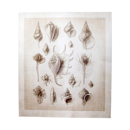 Mercana - Ocean Shell Collection II by Christopher James a Hand Embellished Textured Canvas - 100926-L view 2