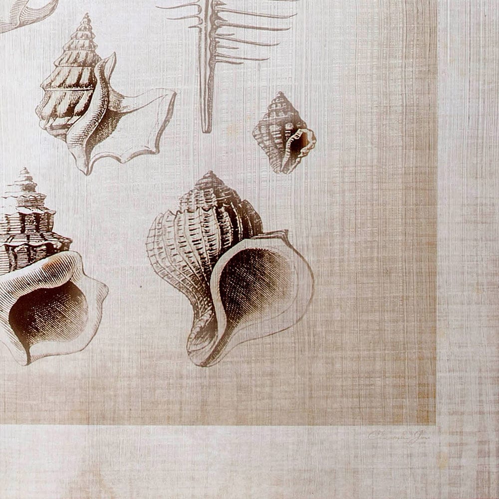 Mercana - Ocean Shell Collection II by Christopher James a Hand Embellished Textured Canvas - 100926-L view 3