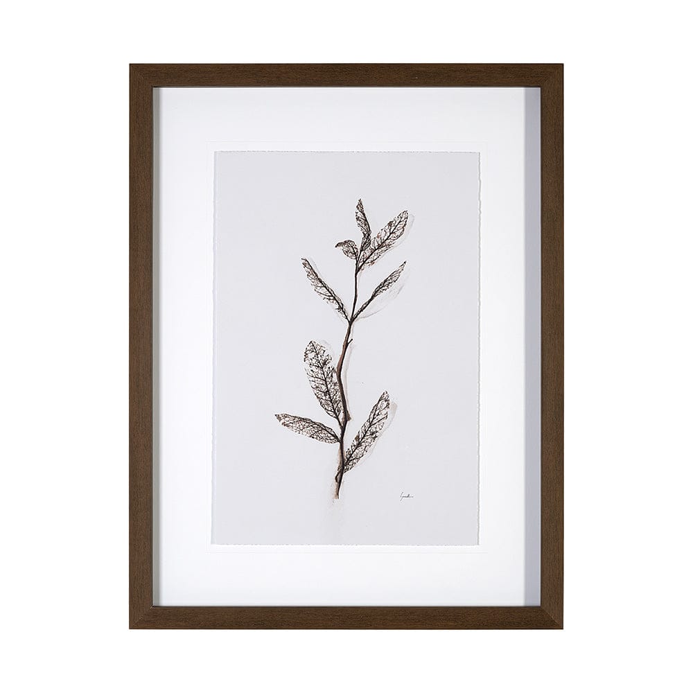Mercana - Olive Branch I by Gabrielle a Framed Art Print Matted under Glass - 13491 view 1
