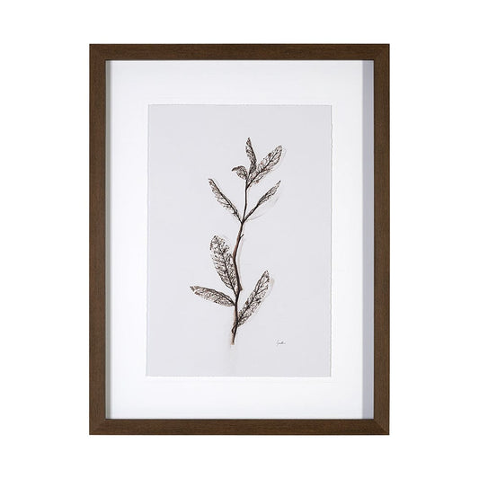 Mercana - Olive Branch I by Gabrielle a Framed Art Print Matted under Glass - 13491 view 1