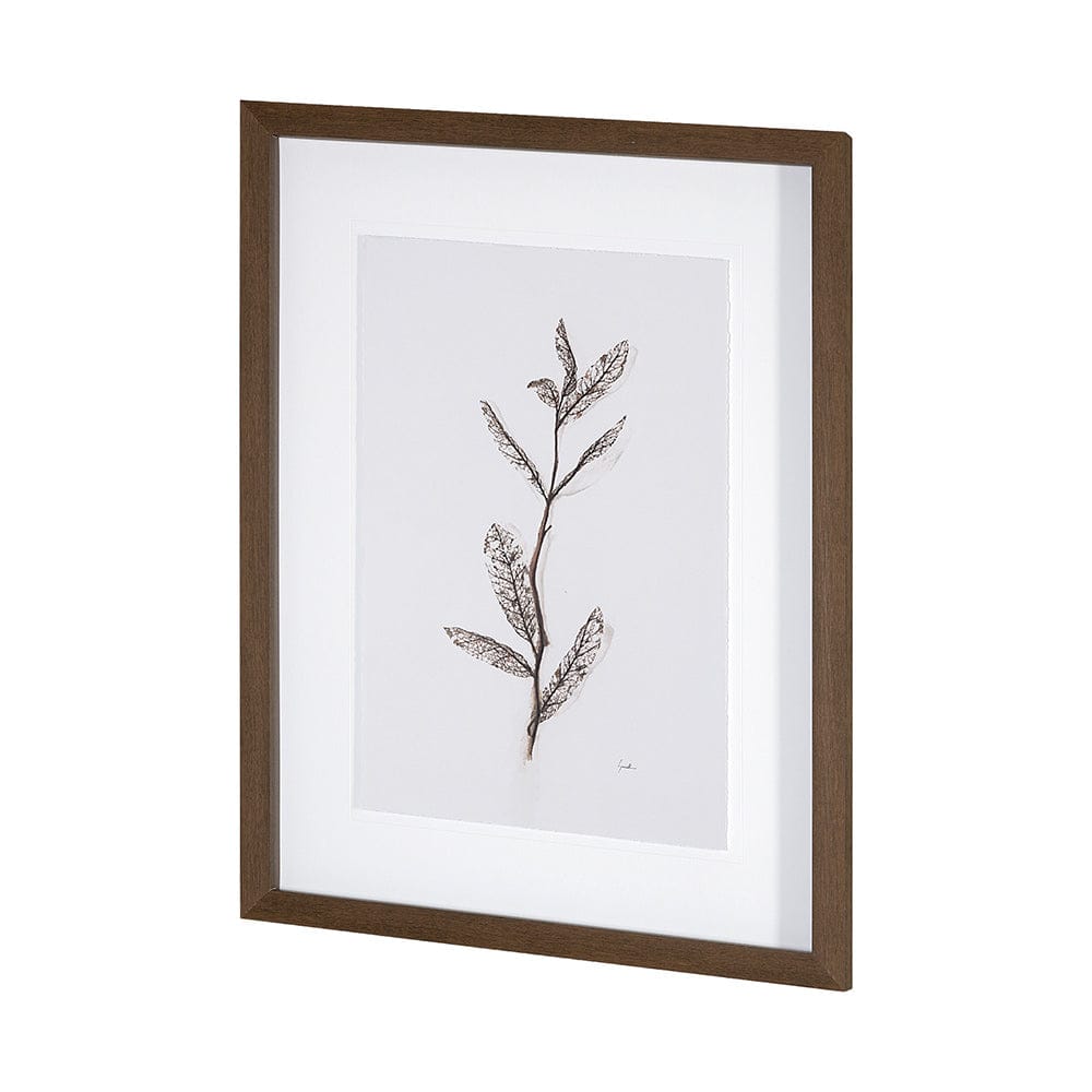 Mercana - Olive Branch I by Gabrielle a Framed Art Print Matted under Glass - 13491 view 2