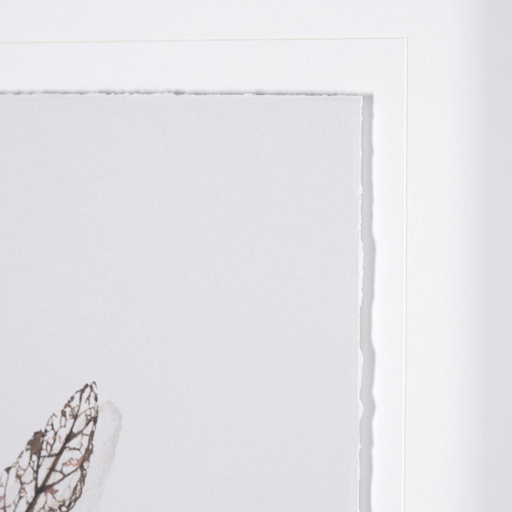 Mercana - Olive Branch I by Gabrielle a Framed Art Print Matted under Glass - 13491 view 6