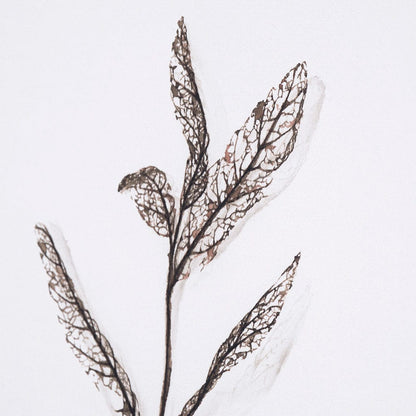 Mercana - Olive Branch I by Gabrielle a Framed Art Print Matted under Glass - 13491 view 7