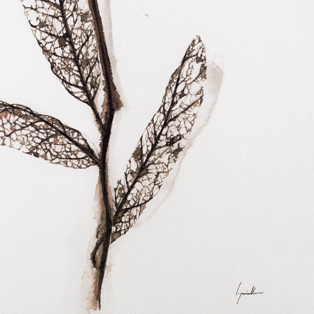 Mercana - Olive Branch I by Gabrielle a Framed Art Print Matted under Glass - 13491 view 8