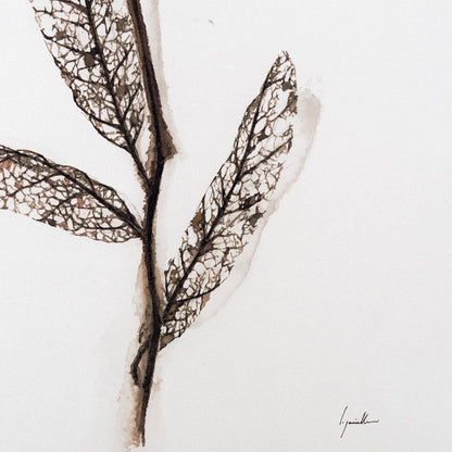 Mercana - Olive Branch I by Gabrielle a Framed Art Print Matted under Glass - 13491 view 8