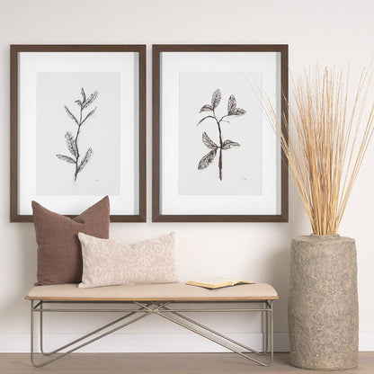 Mercana - Olive Branch I by Gabrielle a Framed Art Print Matted under Glass - 13491 view 9